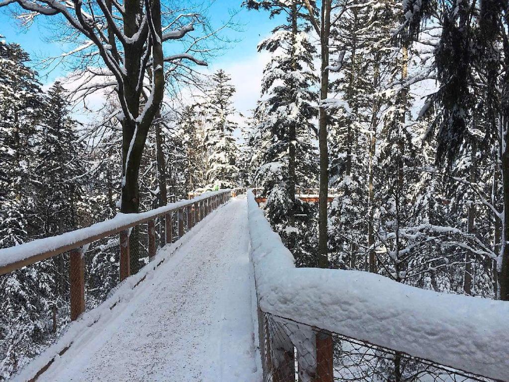 Ferienwohnung Nina Direkt In Zentrum Bad Wildbad Buitenkant foto